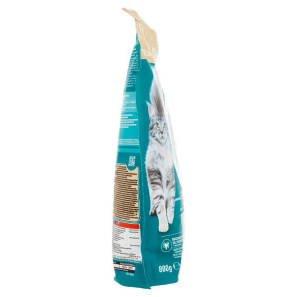 PURINA ONE Adult Ricco in Salmone 800 g