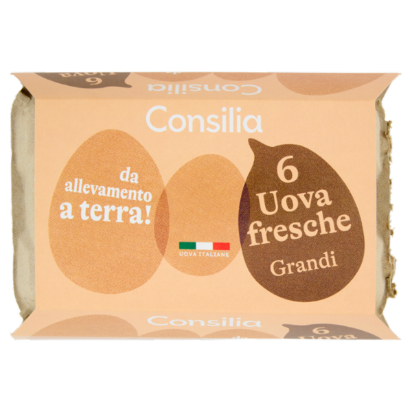 Consilia 6 Uova Fresche Grandi da Allevamento a Terra