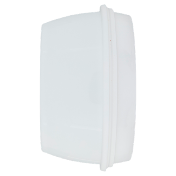 Selex Gelato Fragola e Limone 500 g