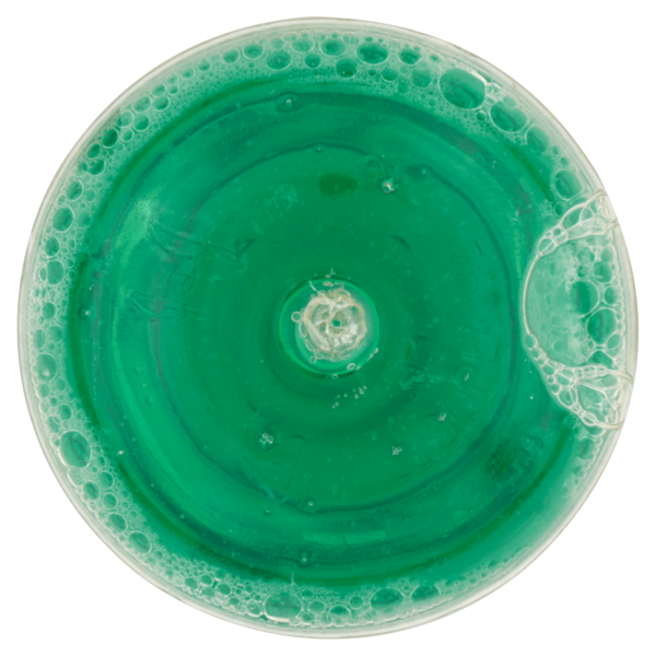 Listerine Difesa Denti e Gengive Menta Fresca 95 ml