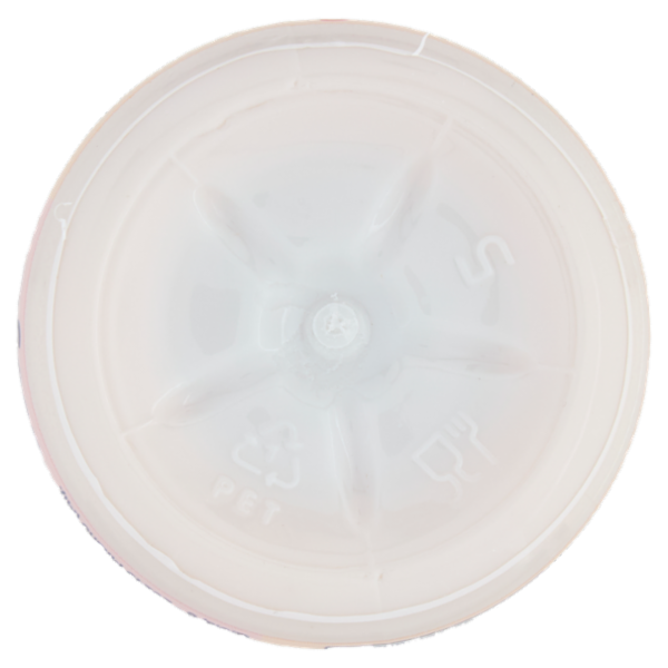 ZYMIL Alta Digeribilità Senza Lattosio Kefir Fragola 250 g