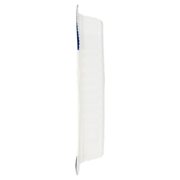 Rizzoli Filetti di Alici MSC Mar Cantabrico 40 g