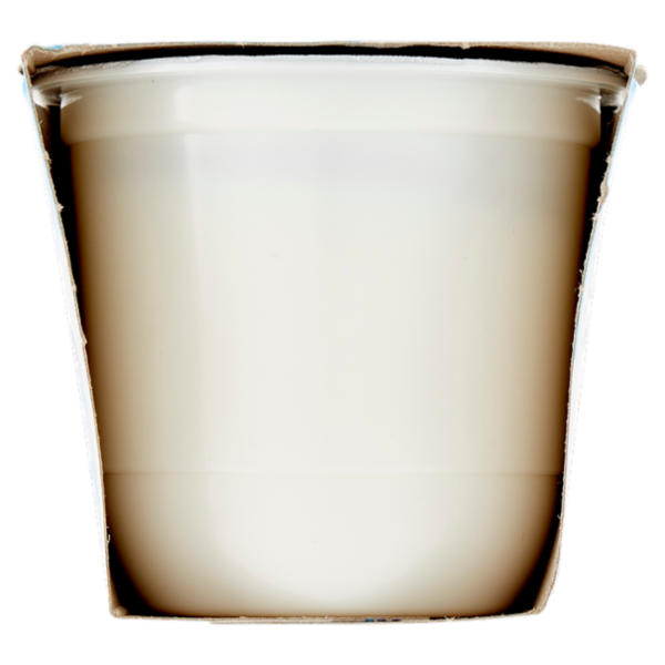 Centrale del Latte di Roma elleDì Yogurt Alta Digeribilità Senza Lattosio* Bianco 2 x 125 g