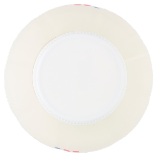 Milk Kefir Multifrutti 480 g