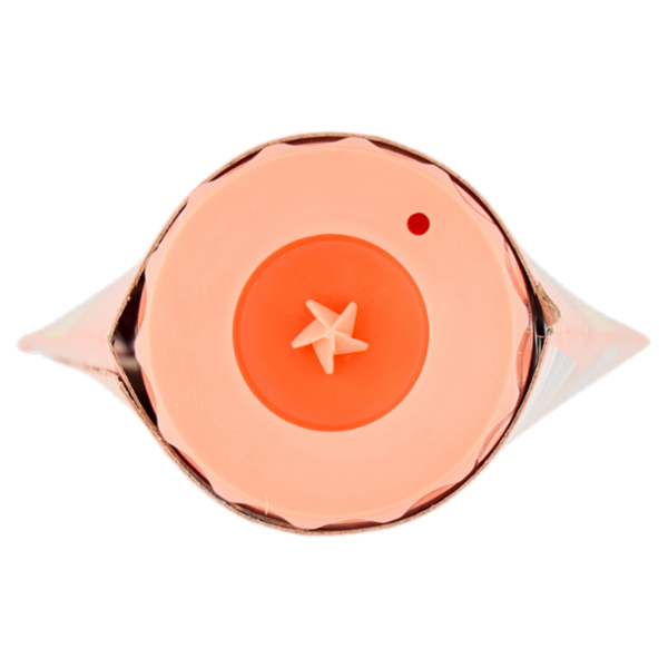 Rio mare Patè Tonno e Maionese 100 g