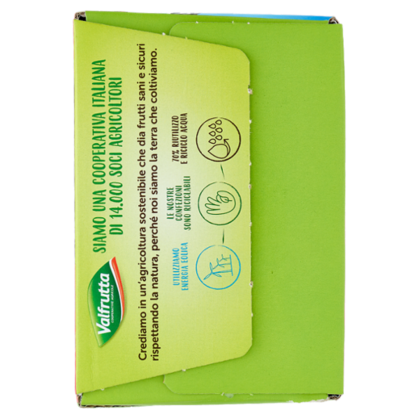 Valfrutta i Triangolini Pesca Italiana succo e polpa Brik 8 x 100 ml