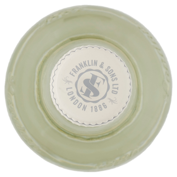 Franklin & Sons Ltd Natural Indian Tonic Water 500 ml