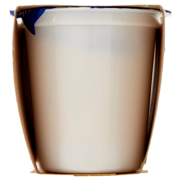 Centrale del latte Vicenza Yogurt Intero Frutta Frullata Pesca 2 x 125 g