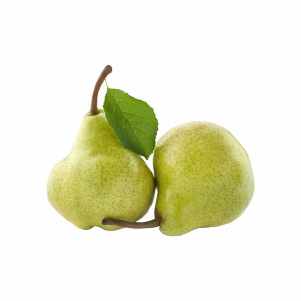 Pere Williams Bianche Italia Cal. 65-70