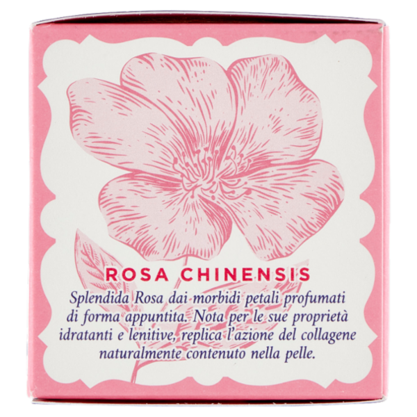 Acqua alle Rose Crema Antirughe Lenitiva 50 ml