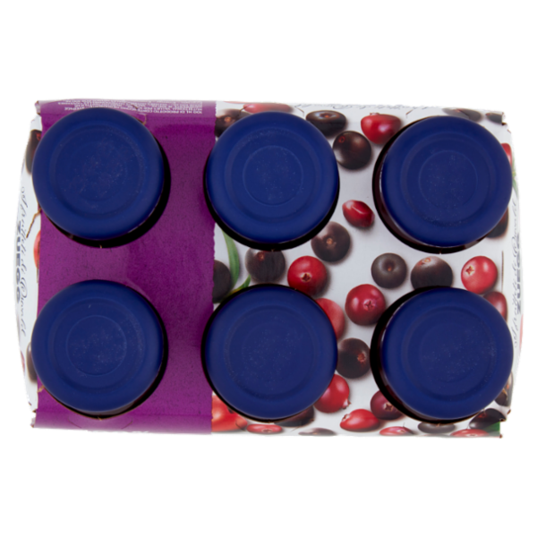 Zuegg I frutteti di Oswald Zuegg i Nettari Cranberry e Açai 6 x 125 ml