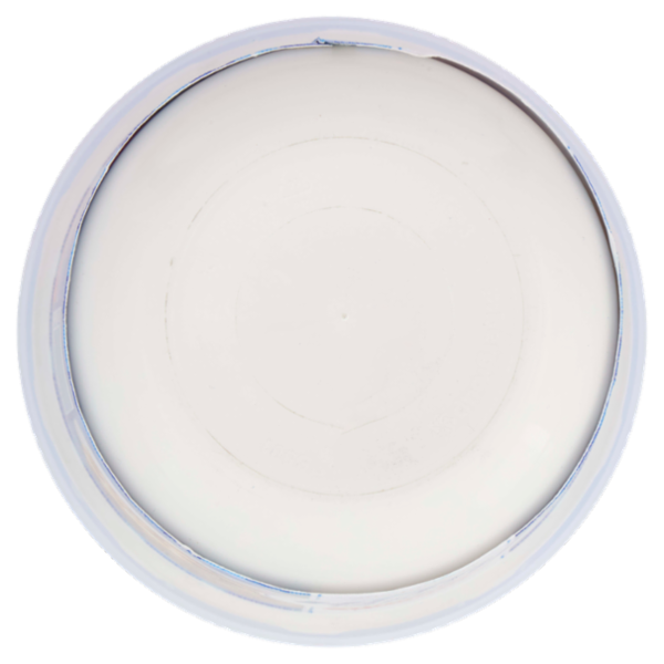 Galbani Santa Lucia Mascarpone 500 g