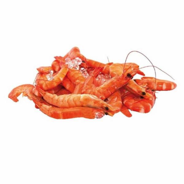 Mazzancolle Tropicali Precotte