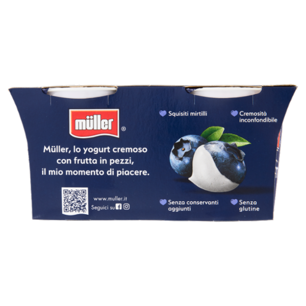 müller Yogurt Cremoso Mirtillo in Pezzi 2 x 125 g