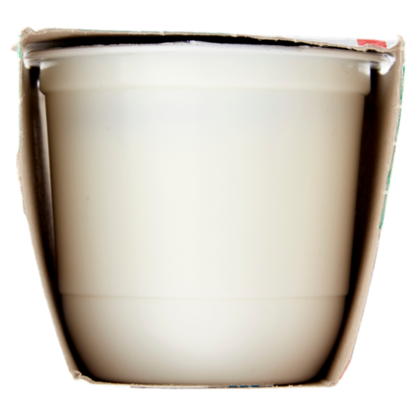 Centrale del Latte di Roma Zero Grassi Yogurt Magro Bianco 2 x 125 g