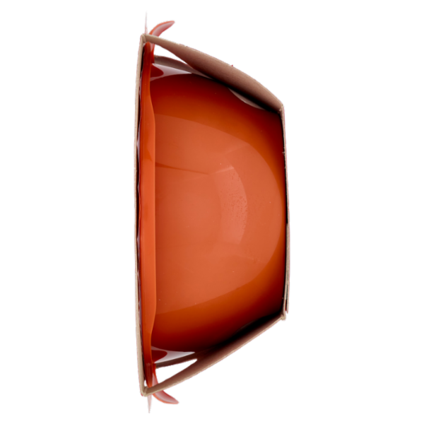 DimmidiSì Pappa al Pomodoro Monoporzione 350 g