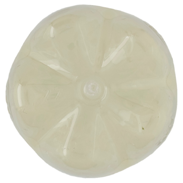 Schweppes Limone PET 0,25 L