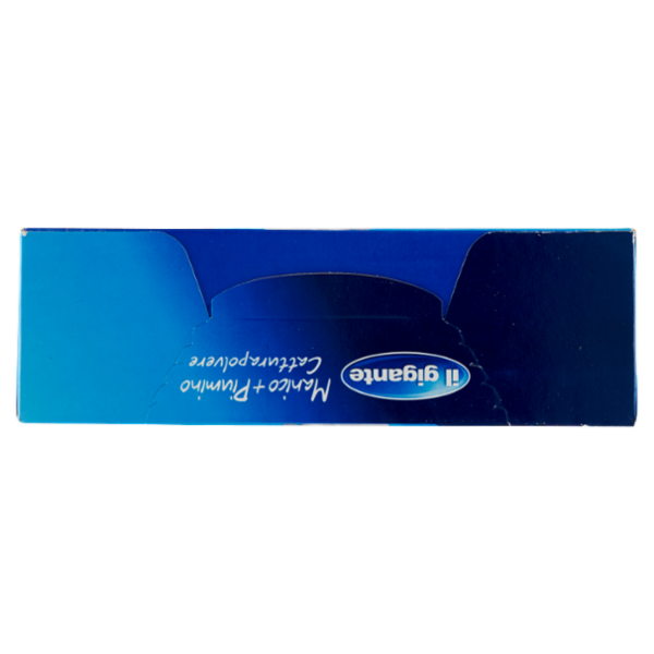 IL GIGANTE Manico + Piumino Catturapolvere