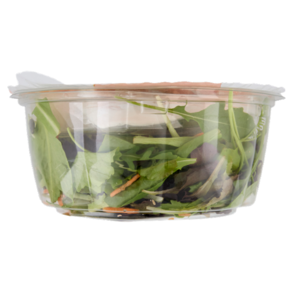 Bondulle Active Insalata, Pollo,