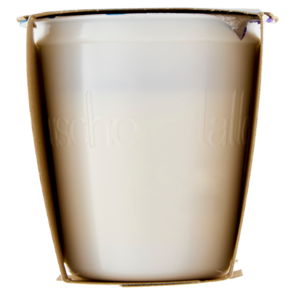 lattebusche yogurt Vaniglia 2 x 125 g