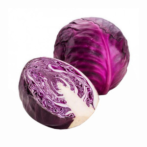 Cavolo Cappuccio Rosso