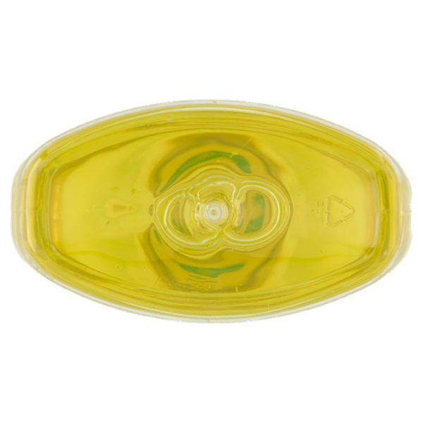 Vert di Chanteclair Ecodetergente Piatti Limone e Zenzero 500 ml