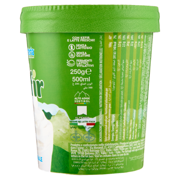 Yogurteria Frozen Yogurt Frozen kefir Naturale 250 g