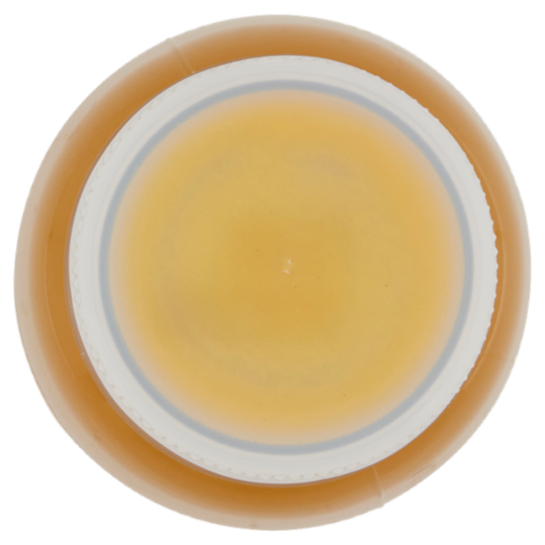 F.lli Orsero Frutta da Bere Mango Passion Fruit 250 ml