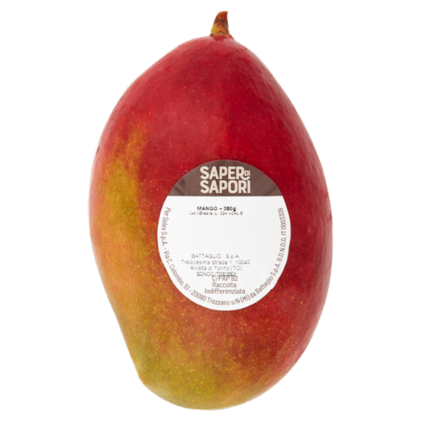 Selex Saper di Sapori Mango 380 g