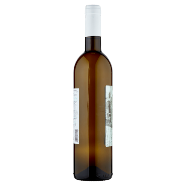 Le Vie Dell'Uva Falanghina Beneventano I.G.T. 750 ml