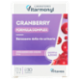 Laboratoires Vitarmonyl Cranberry Formula Complex 30 Capsule 14,4 g