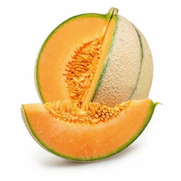 Melone Retato