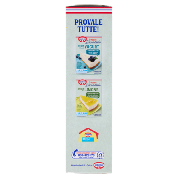 cameo le nuove Irresistibili Cheesecake 217 g