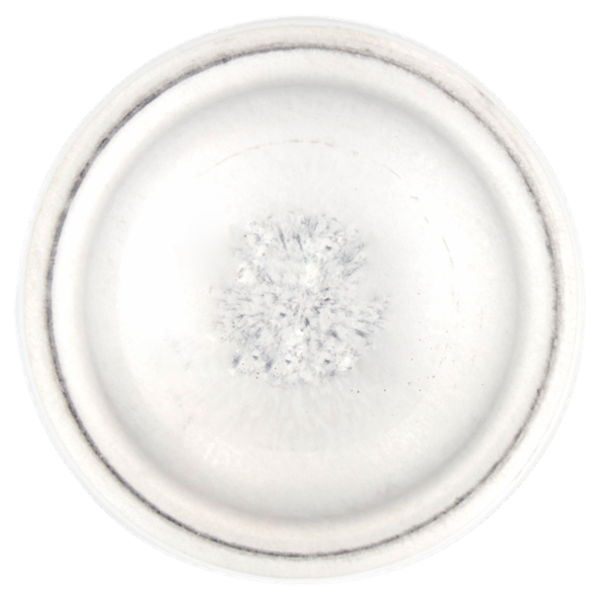 Neutro Roberts Asciutto Cedro e Vaniglia 150 ml