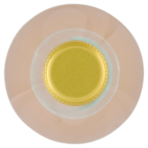 Eplì Collection i Sorsi Mela 1 L