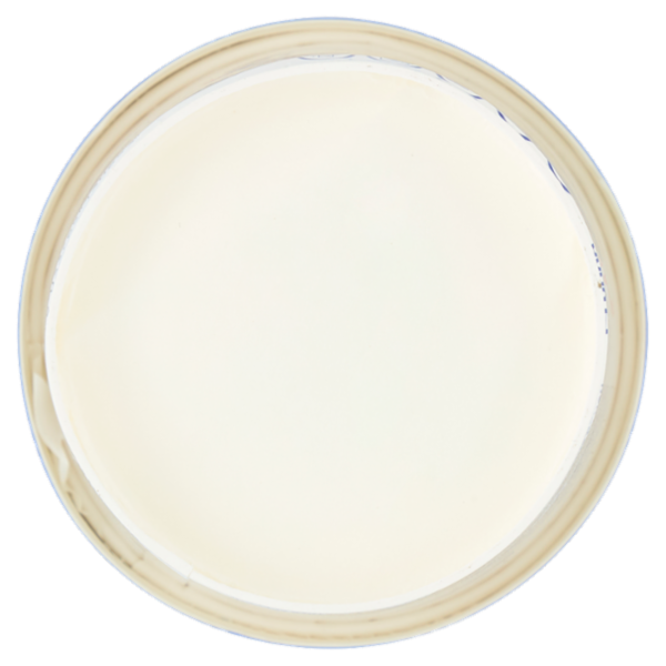 Smapiù Acido Citrico Anidro Puro 500 g