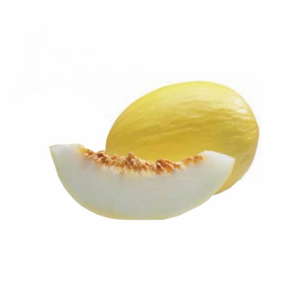 Meloni Gialli Brasile