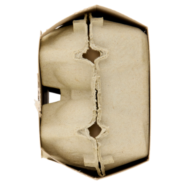 Consilia 6 Uova Fresche Medie da Allevamento a Terra