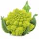 Cavolo Romanesco