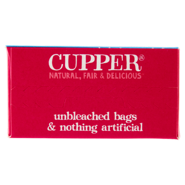 CUPPER Infuso a freddo Biologico di Ribes Nero e Echinacea 10 bustine