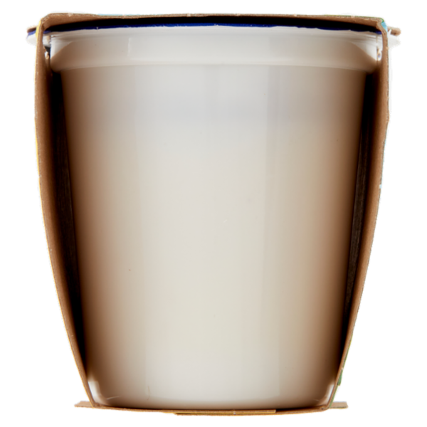 Centrale del latte Vicenza Yogurt Intero Cocco 2 x 125 g