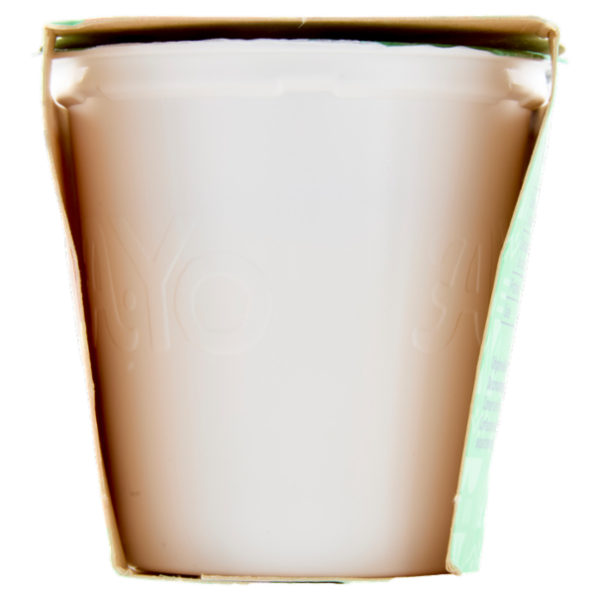 Arborea A-Yo Yogurt Zero Grassi Agrumi in Pezzi 2 x 125 g