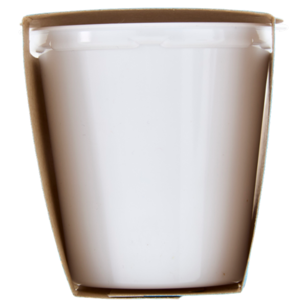 Selex Yogurt Magro Fragola 2x125 g