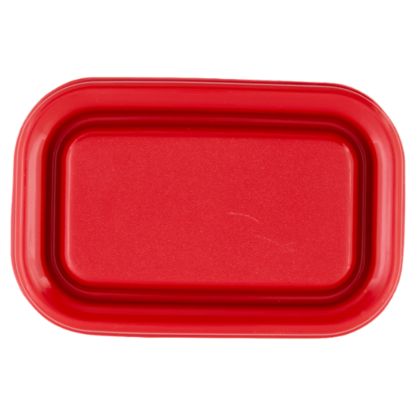 Selex Contenitore per Alimenti Freezer/Frigo Rettangolare 0,70 L