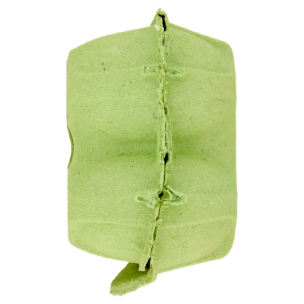 Aia 6 Uova Fresche da allevamento a Terra 330 g