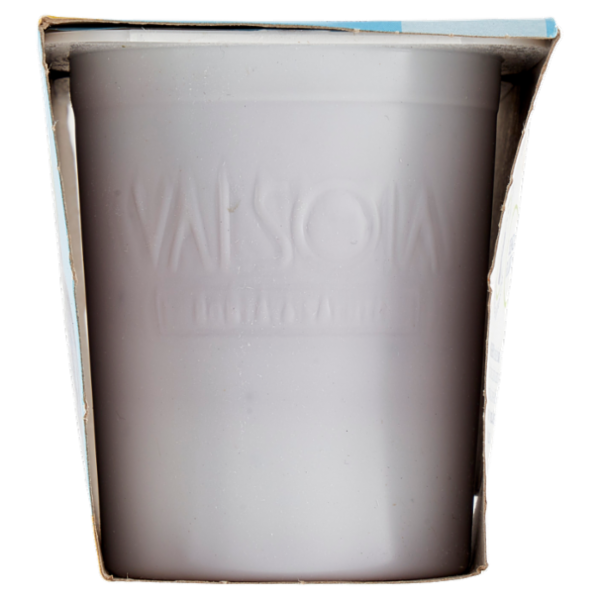 Valsoia Bontà e Salute Yosoi Mirtillo 2 x 125 g