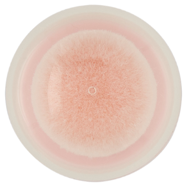 Maybelline New York Instant Perfector 4-in-1 Glow 0.5 Fair Light Cool 20 ml