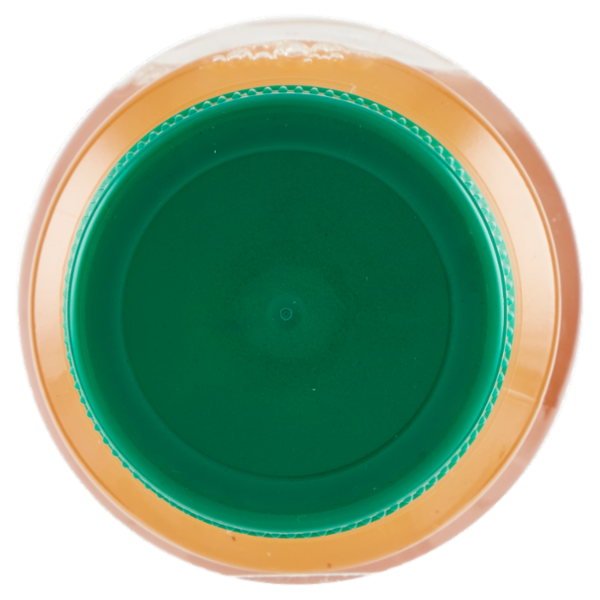 Podere Cittadella Kefir d'Acqua Infuso Antiox Té Verde & Rooibos 250 ml