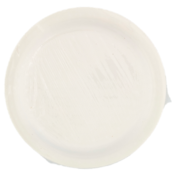 Consilia Piatti Piani in Fibra Vegetale Biodegradabili Compostabili 17,5 cm 15 pezzi