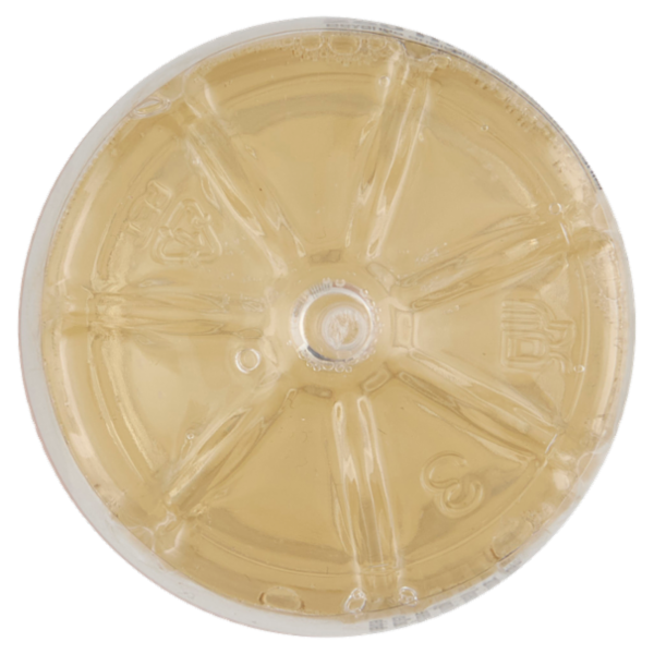 Vitasnella [Specifique] Brucia Grassi Gusto Ananas 250 ml